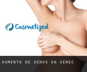 Aumento de Senos en Senec Aumento de Senos en Senec