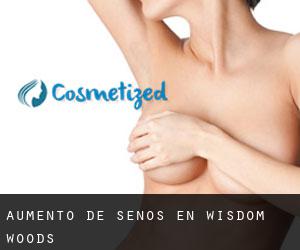 Aumento de Senos en Wisdom Woods