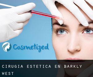 Cirugía Estética en Barkly West