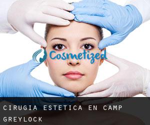 Cirugía Estética en Camp Greylock