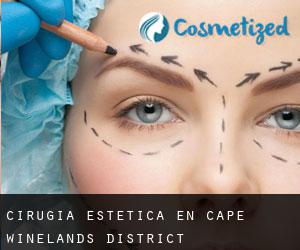 Cirugía Estética en Cape Winelands District Municipality por metropolis - página 3
