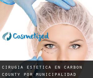 Cirugía Estética en Carbon County por municipalidad - página 1