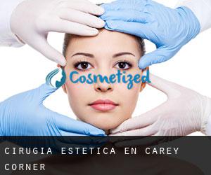 Cirugía Estética en Carey Corner