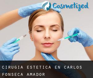 Cirugía Estética en Carlos Fonseca Amador