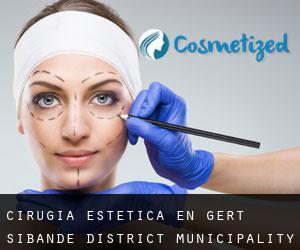 Cirugía Estética en Gert Sibande District Municipality