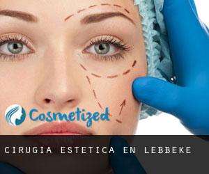 Cirugía Estética en Lebbeke