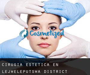 Cirugía Estética en Lejweleputswa District Municipality por ciudad principal - página 1