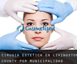 Cirugía Estética en Livingston County por municipalidad - página 1