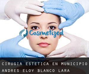 Cirugía Estética en Municipio Andrés Eloy Blanco (Lara)