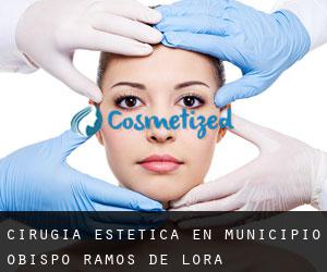 Cirugía Estética en Municipio Obispo Ramos de Lora