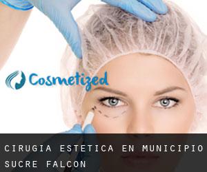 Cirugía Estética en Municipio Sucre (Falcón)