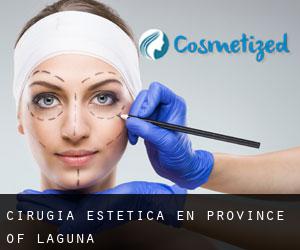 Cirugía Estética en Province of Laguna
