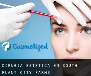 Cirugía Estética en South Plant City Farms