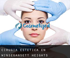 Cirugía Estética en Winsegansett Heights