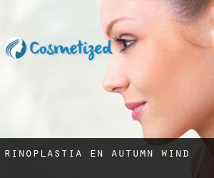 Rinoplastia en Autumn Wind