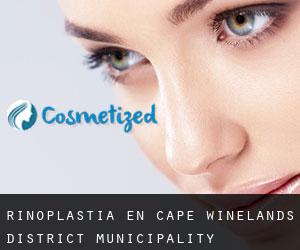 Rinoplastia en Cape Winelands District Municipality