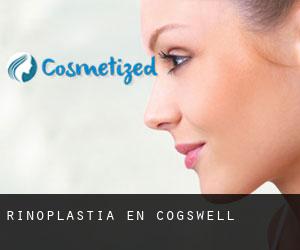 Rinoplastia en Cogswell