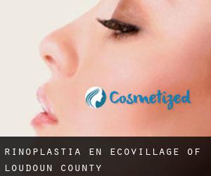 Rinoplastia en EcoVillage of Loudoun County