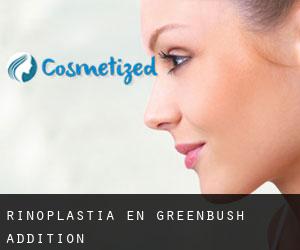 Rinoplastia en Greenbush Addition