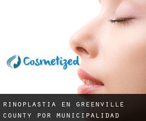 Rinoplastia en Greenville County por municipalidad - página 3
