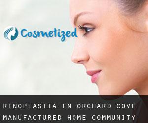 Rinoplastia en Orchard Cove Manufactured Home Community