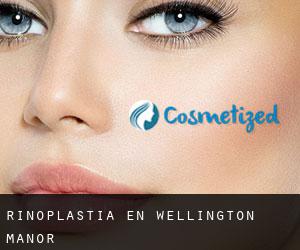 Rinoplastia en Wellington Manor