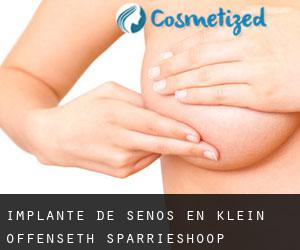 Implante de Senos en Klein Offenseth-Sparrieshoop