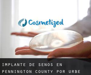 Implante de Senos en Pennington County por urbe - página 1