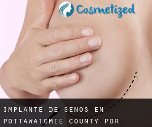 Implante de Senos en Pottawatomie County por localidad - página 1