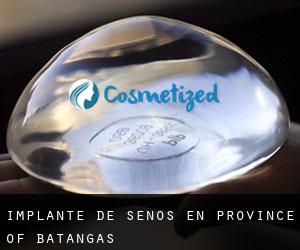 Implante de Senos en Province of Batangas