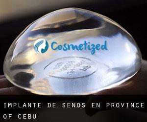 Implante de Senos en Province of Cebu