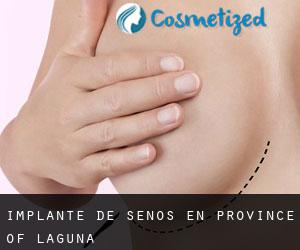 Implante de Senos en Province of Laguna