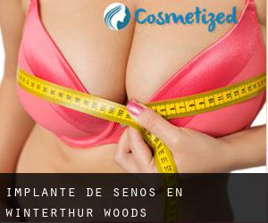 Implante de Senos en Winterthur Woods