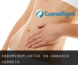 Abdominoplastia en Abbadia Cerreto
