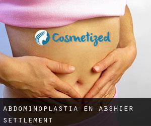 Abdominoplastia en Abshier Settlement