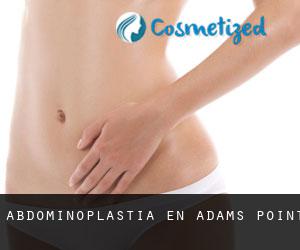 Abdominoplastia en Adams Point