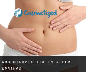 Abdominoplastia en Alder Springs