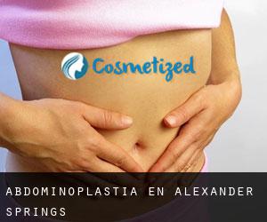 Abdominoplastia en Alexander Springs