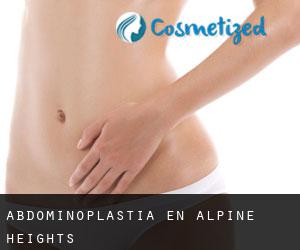 Abdominoplastia en Alpine Heights
