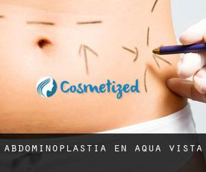 Abdominoplastia en Aqua Vista