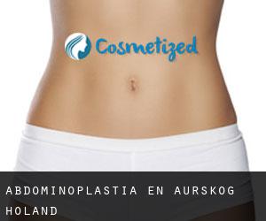 Abdominoplastia en Aurskog-Høland