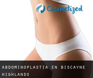 Abdominoplastia en Biscayne Highlands