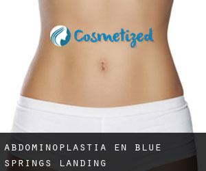 Abdominoplastia en Blue Springs Landing