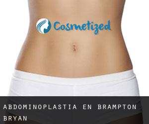 Abdominoplastia en Brampton Bryan