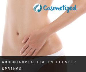 Abdominoplastia en Chester Springs