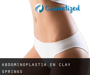 Abdominoplastia en Clay Springs