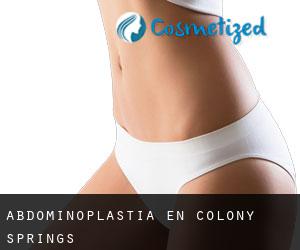 Abdominoplastia en Colony Springs