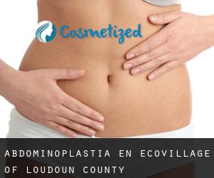 Abdominoplastia en EcoVillage of Loudoun County
