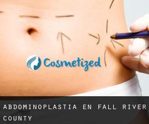 Abdominoplastia en Fall River County