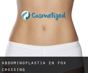 Abdominoplastia en Fox Crossing
